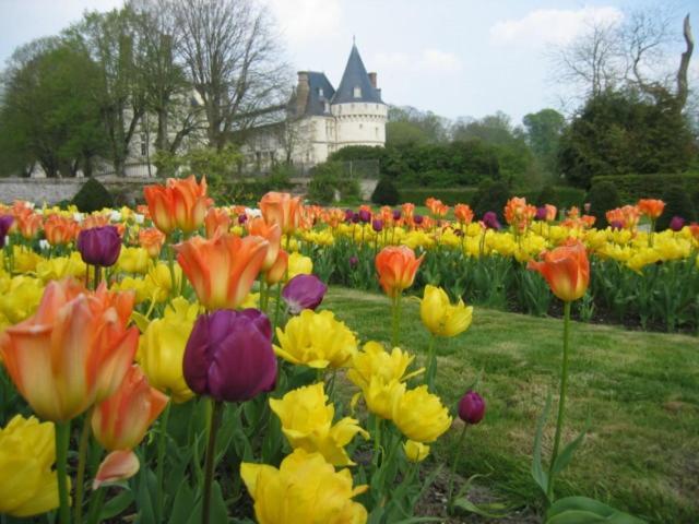 Le Refuge De Normandie Avec Spa Et Cheminee Mesnieres-en-Bray Экстерьер фото